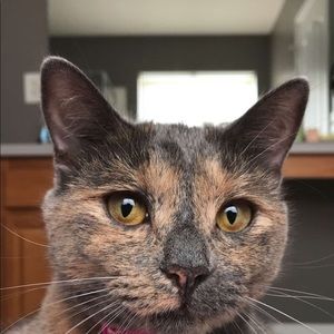 Meet your Posher, Mel